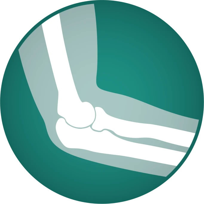 Physical Therapy