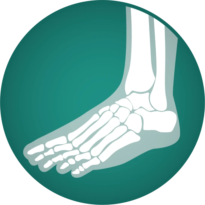 Foot and Ankle