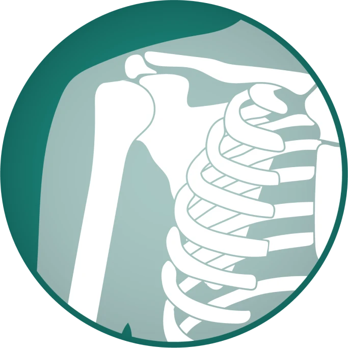 Shoulder